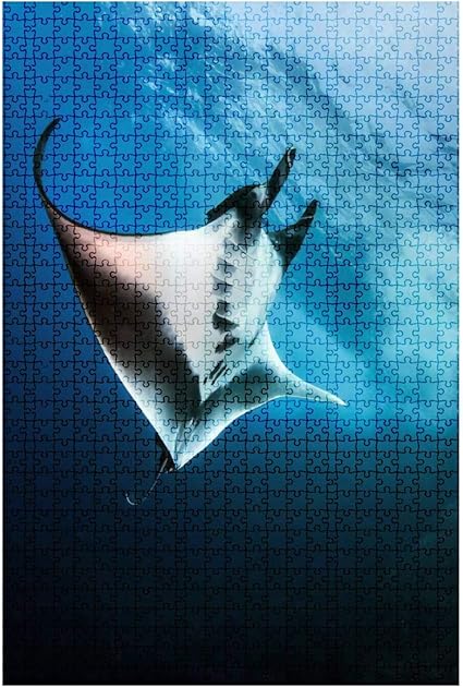 manta puzzle