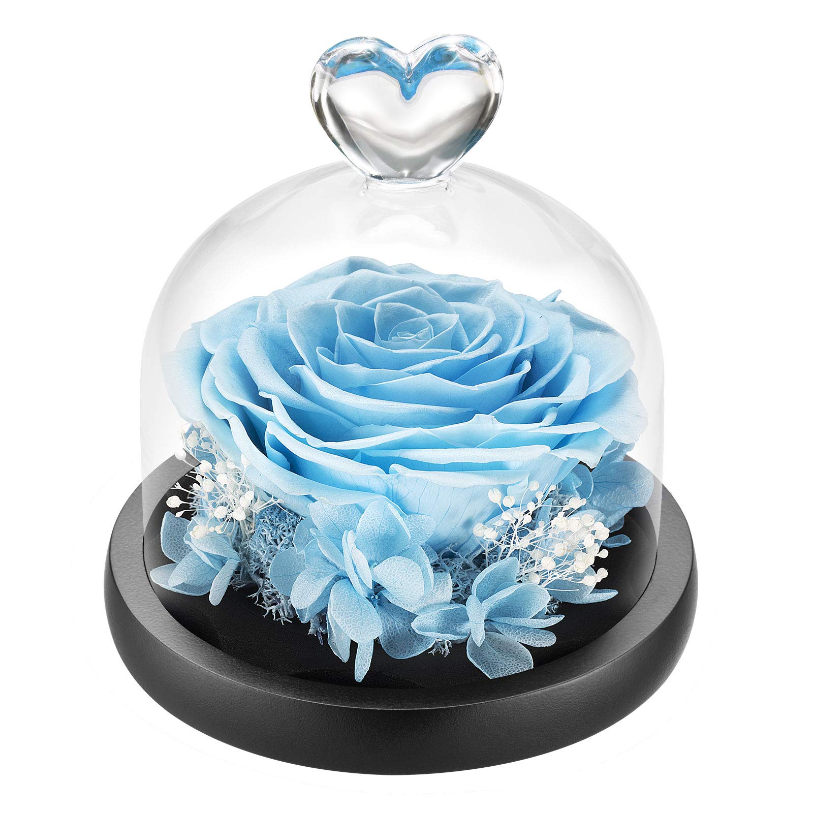 DuHouse Forever Roses Preserved Real Flowers Eternal Enchanted Rose Flower Box Gift for Valentines Birthday Anniversary Mother's Day (Sky Blue)