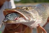 Berkley Zilla Flanker Floating Pike Lure 110mm 29g Firetiger Fusion 19 Trebles view 5
