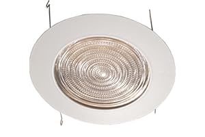 JOINT BRIGHT LIGHTING 6 Inches Fresnel Lens Shower Trim for Recessed Light/Lighting-Fits Halo/Juno