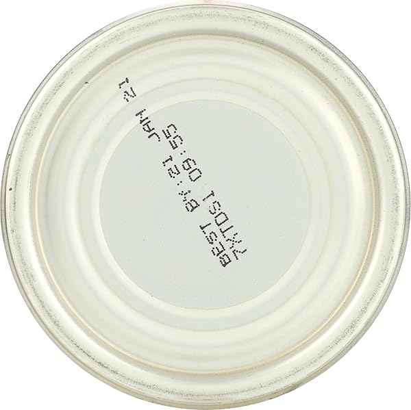 WELLNESS NATURAL PET FOOD GRAIN FREE WET CANNED DOG FOOD, TURKEY STEW, 12.5 OZ