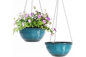 Vanslogreen 2 Pack Hanging Planters for Indoor Outdoor Plants, 10 Inch Hanging Planter with Drainage Hole & Plug Glazed Hanging Baskets Flower Pots for Garden Home (Blue)