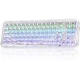 YUNZII X71 Wireless Hot Swappable Transparent Mechanical Keyboard with Clear Keycaps, 68% Layout, BT5.0/2.4G/USB-C Gasket Mount Wireless RGB Backlit for Windows/Mac(Crystal Ice Switch,White)