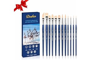 DUSHCO Artist Paint Brushes Set, 12 Pcs Watercolor Brushes Professional, Water Color Brushes - Round, Flat, Liner, Filbert, Angular, Oval Wash & Dagger for Acrylics, Ink, Watercolor, Gouache, Oil, Tempera