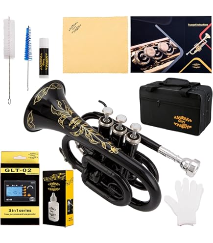 Tromba Tascabile Stagg WS - TR245 In Sib - Acciaio Inossidabile Con Custodia - Foto 10