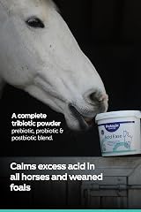 Protexin Equine Premium Acid Ease, 1.5 kg, Daily Gut Support for Horses view 3