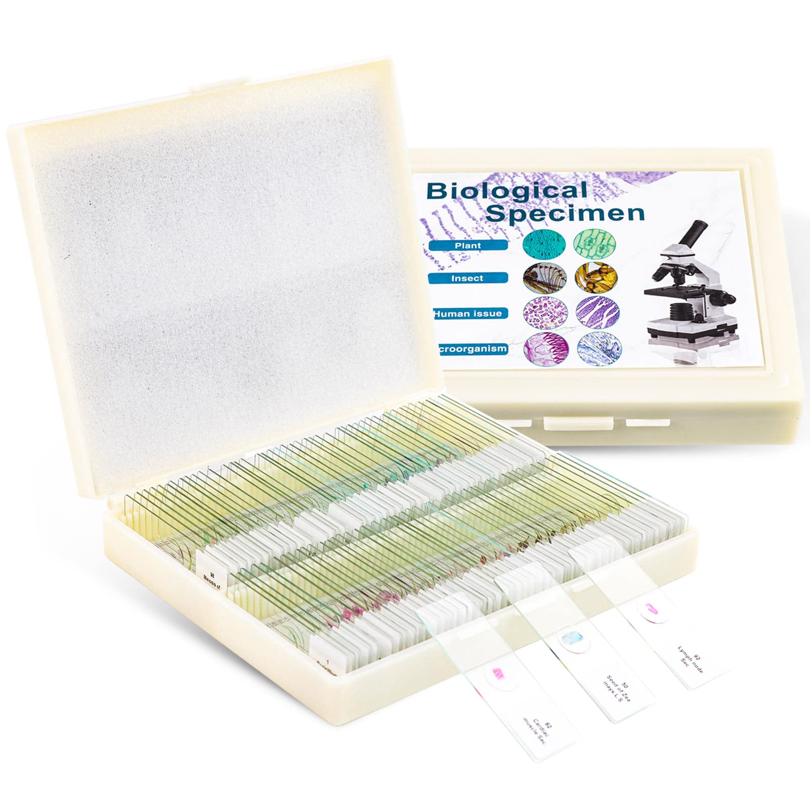 Photo 1 of 100 Prepared Microscope Slides with Specimens for Kids Adults - Bacterium, Fungus, Human Tissues, Mitosis, Plants, Insects, Animals Cells Samples for Biological Science Lab, School Students