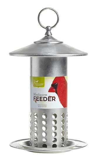 Feeding Watering Supplies Pacific Bird Supply Galvanized