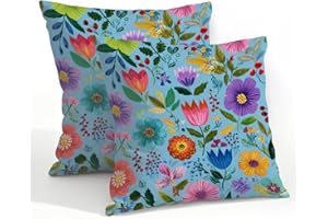 HSYOYO 22x22 Inch Outdoor Pillow Covers Set of 2 Waterproof Throw Pillow Covers Decorative Couch Cushion Covers Colorful Fowe