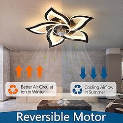 Dalouguan Ceiling Fan with Lights Remote