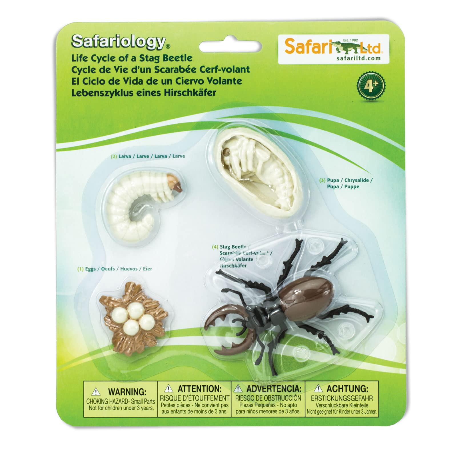Safari Safariology Ltd Set of 4 Life Cycle of a Beetle Deer Flywheel Toy for Boys and Girls Ages 4+ Realistic Figures