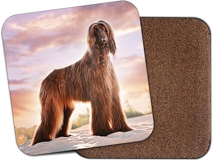Amazon Co Jp 美しいアフガンハウンドコースター 犬動物子犬ママおばさんギフト クール Kitchen Housewares Amazon Co Jp 美しいアフガンハウンドコースター 犬動物子犬ママおばさんギフト クール Kitchen Housewares