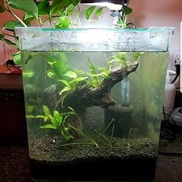 shrimp safe plant fertilizer