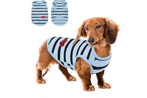 Queenmore Medium Dog Shirt,Soft Breathable Dog Shirt for Dogs Cats Boy Girl,Pet Clothes for All Season,Breathable Lightweight Pet Tshirt for Frenchie, Dachshund, Yorkie