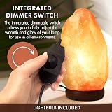 The Body Source Himalayan Salt Lamp 2-3kg with Dimmer Wooden Base view 3