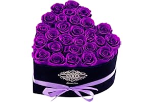 AGRUL Mothers Day Roses Gifts for Mom-Forever Flowers Roses In a Box Anniversary Birthday Gifts for Wife Women Mom Best Friend Girlfriend Grandma