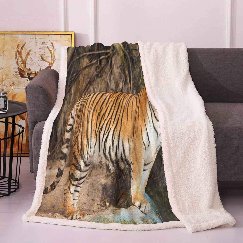 The 10 Best Sherpa Royal Tiger Print Heating Blanket