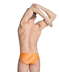 ARENA Men’s Swim Brief Halftone Team Print