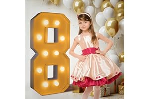 PRELIFE MEMORY 3FT/36 Inch Light Up Marquee Number 0-9, White Frame KT Board Plug-in KT Board With Bracket Warm LED Party Decorative Light Decoration For Birthday Party Anniversary (NUMBER 8)