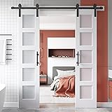 EaseLife 36in x 84in (Double 18in×84in Door) Glass