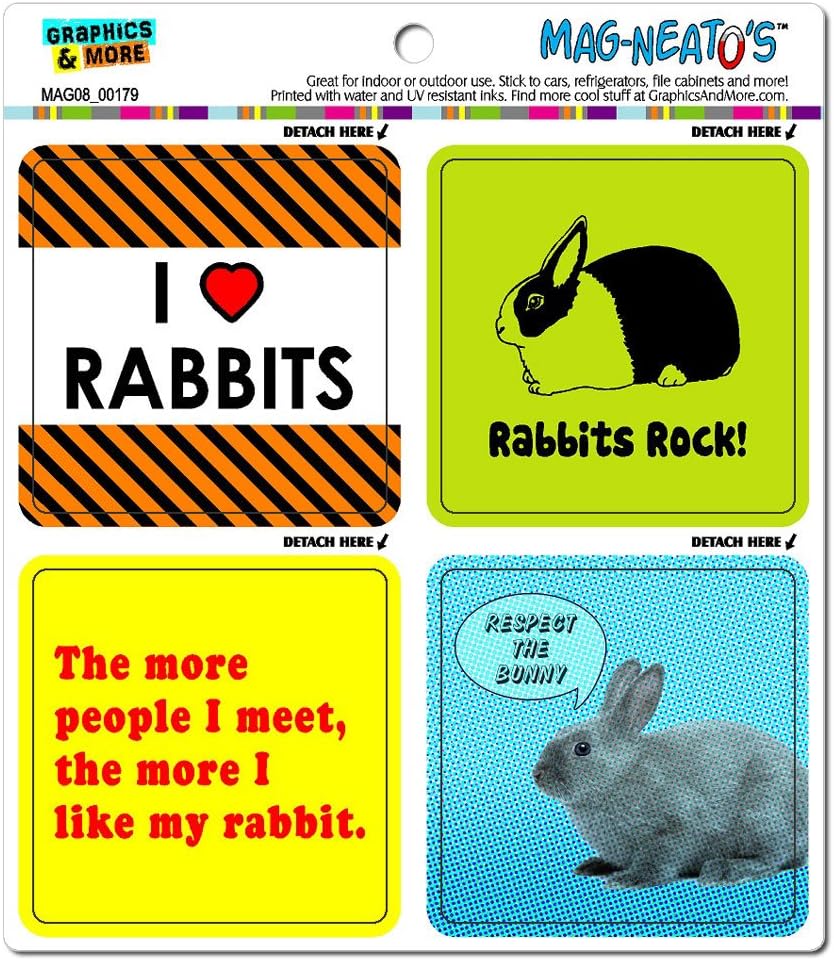 The 10 Best Bunny Magnets For Refrigerator