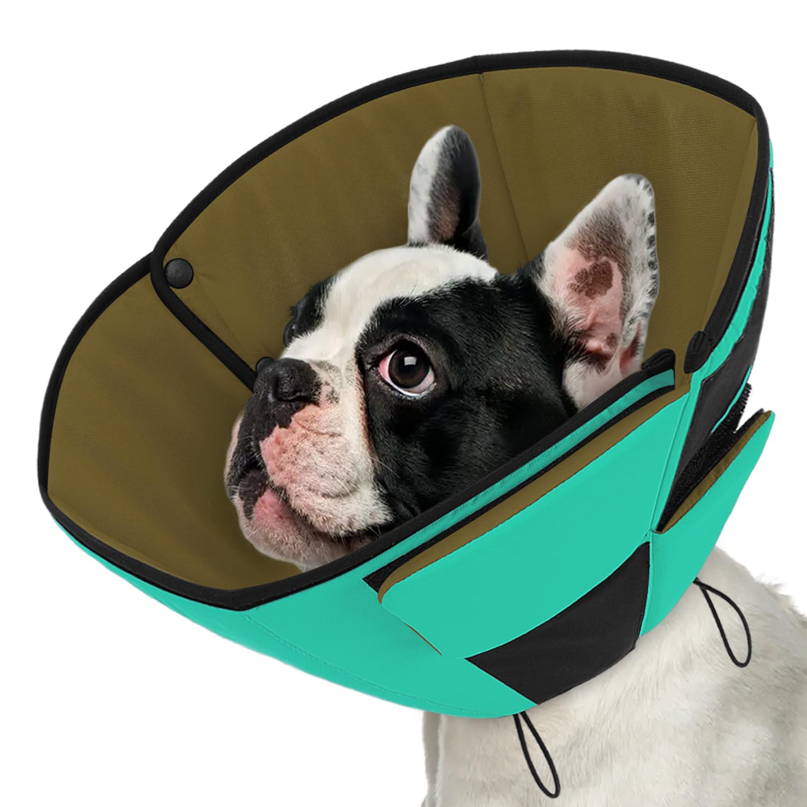 Photo 1 of Queenmore Dog Cones for Small Dogs, Pet Cone for Dogs, Dog Cone Collar to Prevent Licking Wounds, Adjustable Comfy Cone for Dogs, Adjustable Elizabethan Collar for Pets, Green S
