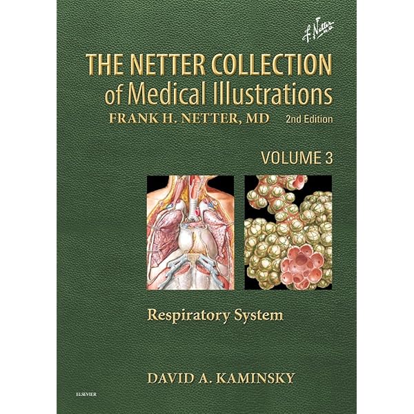 The Netter Collection of Medical Illustrations: Digestive