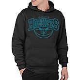 Junk Food Men's X Monochromatic Arch-Officially Licensed NBA Adult Pullover Hooded Fleece Women