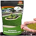 Outsidepride Monaco Bermuda Grass Seed - 2 lbs. Drought-Tolerant, Dense, Wear-Resistant Turf Grass Seeds for Lawn, Sports Fields, & High-Traffic Areas - Ideal for Warm-Season & Transition Zone Areas