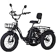 NARRAK Electric Tricycle for Adults, 750W(Peak 1350W), 48V13Ah Ebike, 20"x4.0" Aluminum Folding Fat Tire 3 Wheel Electric Trike, Max 20MPH Hydraulic Brake, Rear Motor Differential