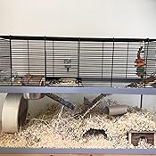ferplast gabry 80 gerbil cage