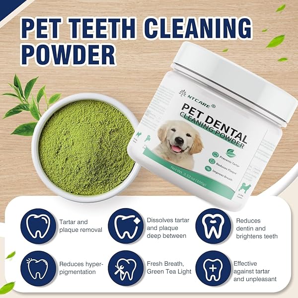 DOG TEETH CLEANING POWDER, DOG DENTAL POWDER AND CATS BREATH FRESHENER, PLAQUE OFF PET TOOTH CLEANING LAB CO, BAD BREATH & TARTAR REMOVER FOR DOGS, + POSTBIOTICS, 3.52 OZ