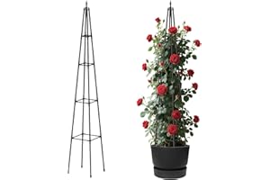 Alisisfores 6 FT Obelisk Trellis for Climbing Plants Outdoor, 6FT Garden Trellis with Extra Thickened Plastic-Coated Metal Pipes, Garden Indoor Potted Plant Support, Climbing Support for Potted Plants