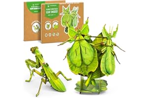 MAKEBUG 3D Paper Puzzle, Eco-Friendly Educational Learning Puzzles for Kids 7years+