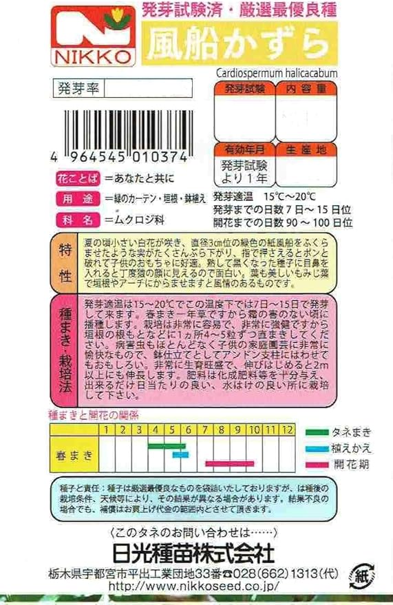 Amazon Co Jp 種子 風船かずら 1037 Diy 工具 ガーデン