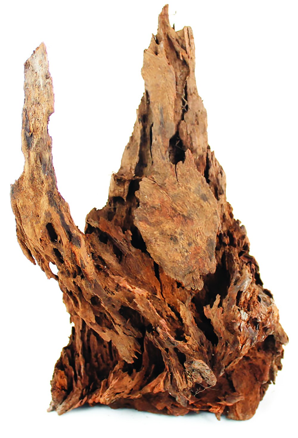 Aqua One Real Wood Singles Mangrove Root, Medium, 15-25 cm