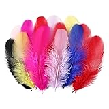 Colorful Craft Rooster Feathers 900pcs 3-5inch