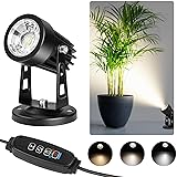 Spot Lights Indoor Up Lights Indoor with Timer, 3W