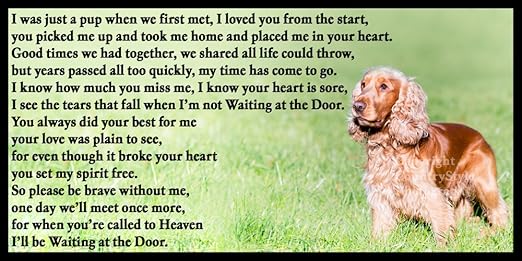 Cocker Spaniel cachorro de duelo pérdida con inscripción memorial ...