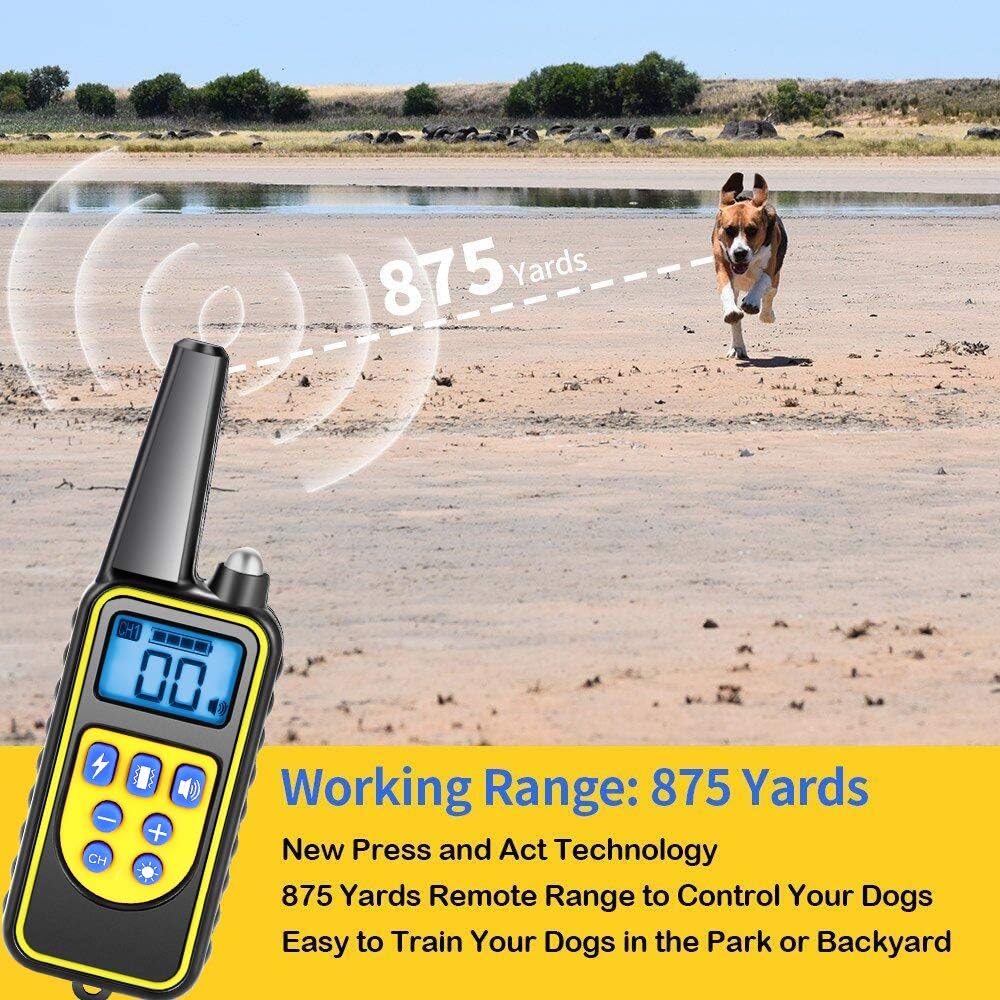 Moer sky dog training collar Outlet