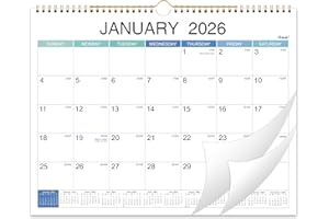 FETEULO 2026 Wall Calendar - Jan 2026 - Dec 2026, 2026 Calendar, 15" x 11.5", Spiral Binding, Yearly Overview, Holidays, Large Blocks, Perfect Organizer for Home & Office