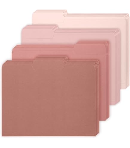 Amazon.com: Pink Hanging File Folder