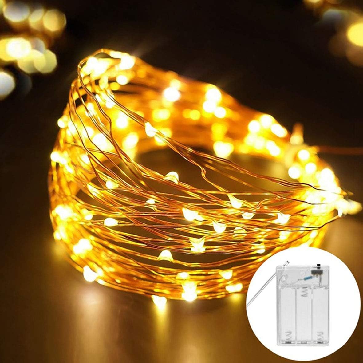 DistrictMaster 50 LED String Lights with Battery Box for Decorations (5 m, Warm White)