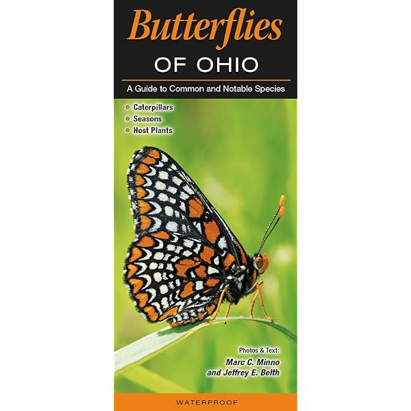 Butterflies From China, Japan, and Corea; pt.1: Leech, John Henry