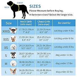 AIITLE Dog Harness and Leash Set
