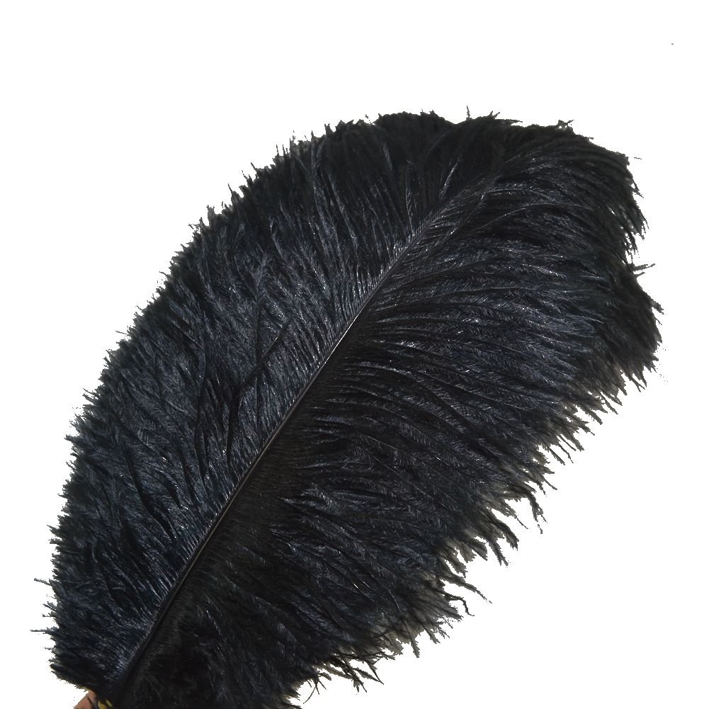Sowder 10pcs Ostrich Feathers 12-14inch(30-35cm) for Home Wedding Decoration(black)