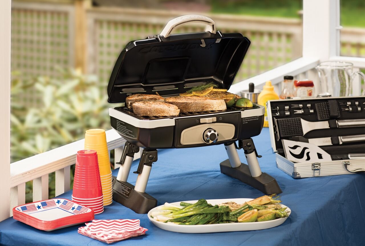 Best Gas Grills In 2022 Grill Your Way To The Top