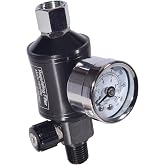 Dynastus Regulating Filter Air Pressure Regulator and in-line Filter kit for Spray Guns and Pnuematic Tools, 1/4 NPT