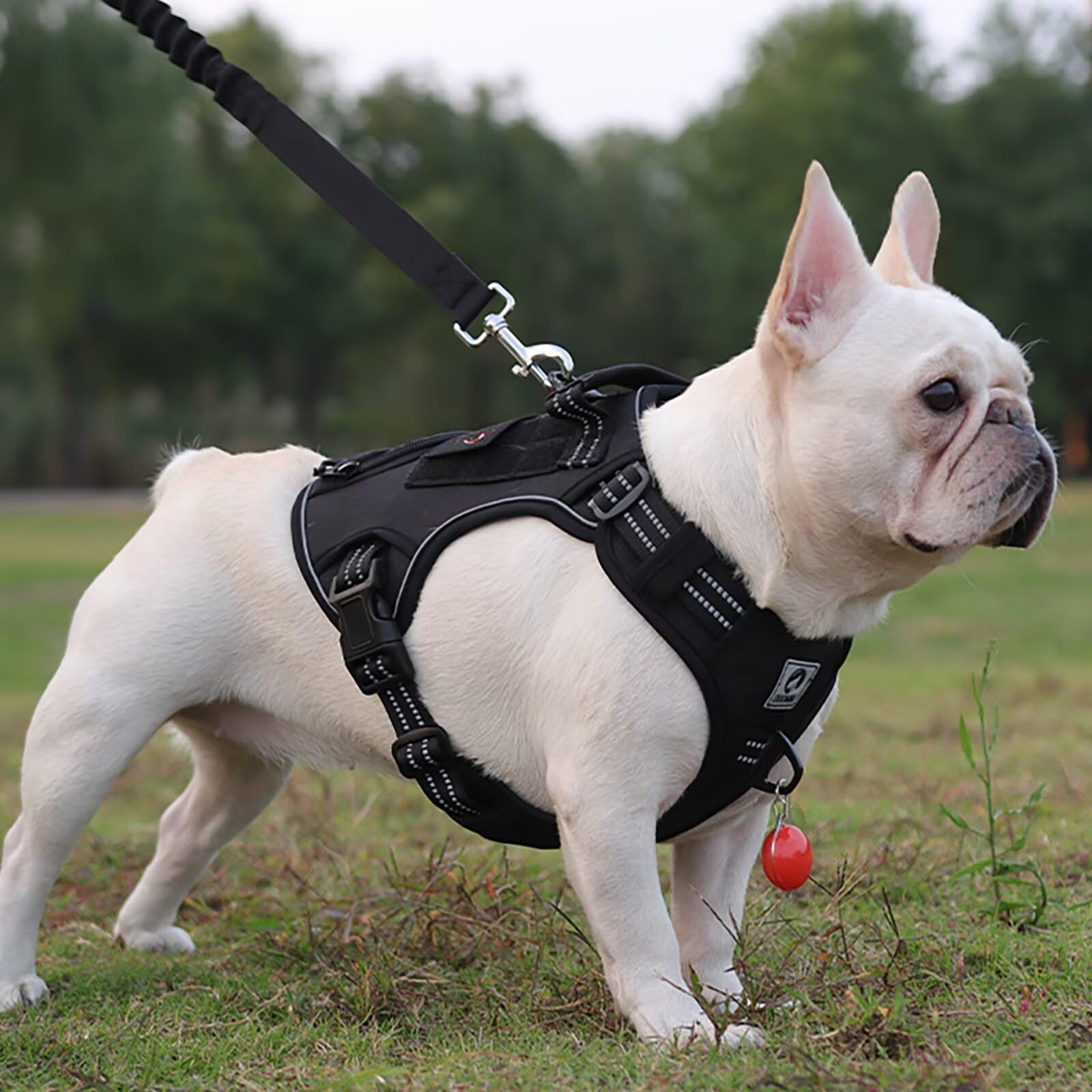 EAWON Tactical Dog Leash for Small Medium Large Dogs Soft Dog Night Easy Walk Hiking Training Black