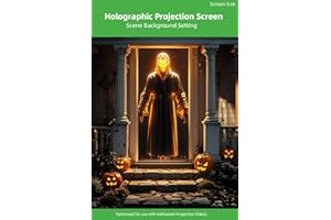 SKERELL 40" x 60"Holographic Rear Projection Screen Grey: Indoor projectors Screens Hang Wall Mount for Projection Halloween Videos Movie Night